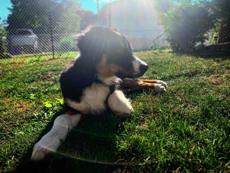 11C47228-099F-4D22-92FD-B80D45CC450F